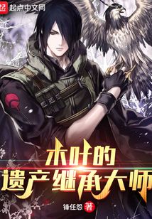 木叶的遗产继承大师起点