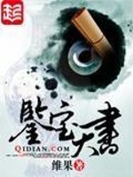 鉴宝天书TXT