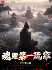 魂殿第一玩家小说免费阅读