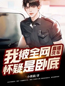 直播洗车:我被全网怀疑是卧底
