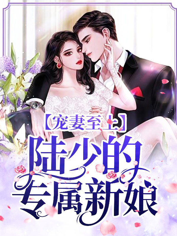 宠妻至上:陆少的专属新娘
