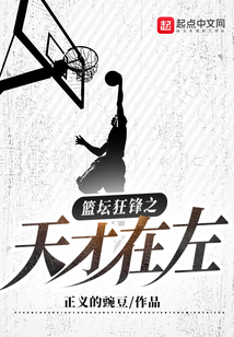 篮坛狂锋之天才在左起点中文网
