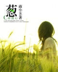葱