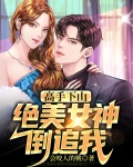 高手下山:绝美女神倒追我