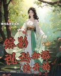 综影视之从如懿传开始