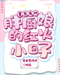 重生年代:胖厨娘的红火小日子