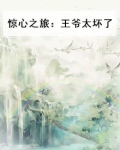 惊心之旅:王爷太坏了