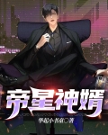 帝星神婿