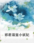 邪君溺宠小妖妃