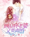 顾总你老婆又要离婚