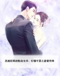 恶魔校草的贴身女仆:柠檬半夏之甜蜜侍奉