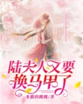陆夫人又要换马甲了