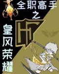 全职高手之皇风荣耀